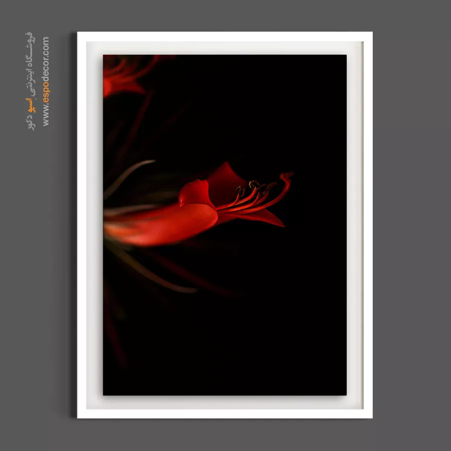 خرید تابلو گل قرمز لوکس - لیلیوم عنکبوتی قرمز – تابلو گل - اسپو دکور