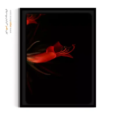 خرید تابلو گل قرمز لوکس - لیلیوم عنکبوتی قرمز – تابلو گل - اسپو دکور