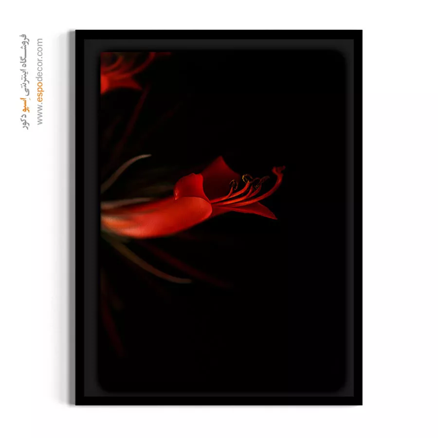 خرید تابلو گل قرمز لوکس - لیلیوم عنکبوتی قرمز – تابلو گل - اسپو دکور