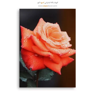 تابلو گل