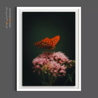 تابلو دکوراتیو پروانه و گل - خالدار – تابلو گل - اسپو دکور