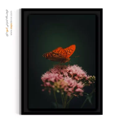تابلو دکوراتیو پروانه و گل - خالدار – تابلو گل - اسپو دکور