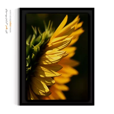 قیمت تابلو دکوراتیو زرد - آفتابگردان – تابلو گل - اسپو دکور
