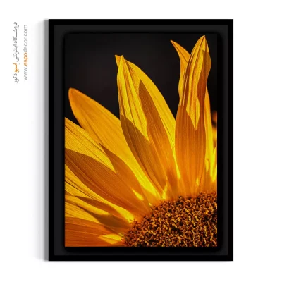 تابلو دیواری مدرن آشپزخانه - گل آفتاب – تابلو گل - اسپو دکور