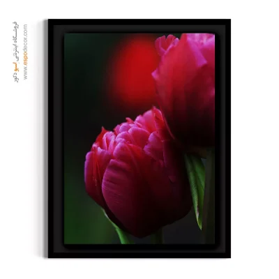 تابلو لوکس - لاله – تابلو گل - اسپو دکور