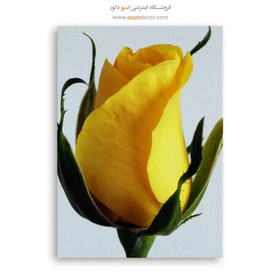 تابلو گل