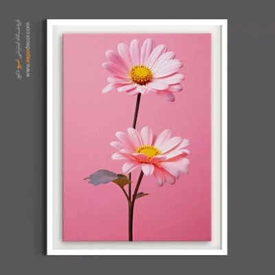 تابلو مونوکروم - دو شکوفه صورتی – تابلو گل - اسپو دکور