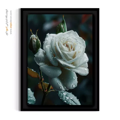 تابلو مدرن با رنگ سفید - رز سفید شبنمی – تابلو گل - اسپو دکور
