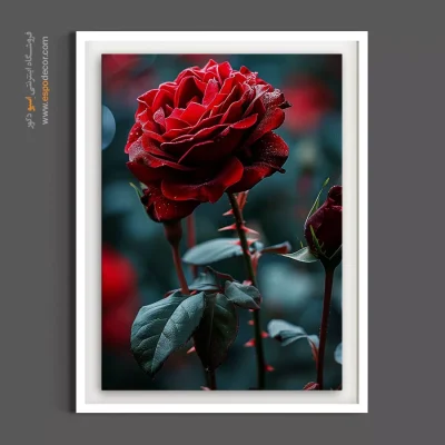 دکوراسیون دیواری مجلل - رز قرمز مخملی – تابلو گل - اسپو دکور
