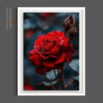 تابلو بوم رز قرمز - رز سرخ آتشین – تابلو گل - اسپو دکور
