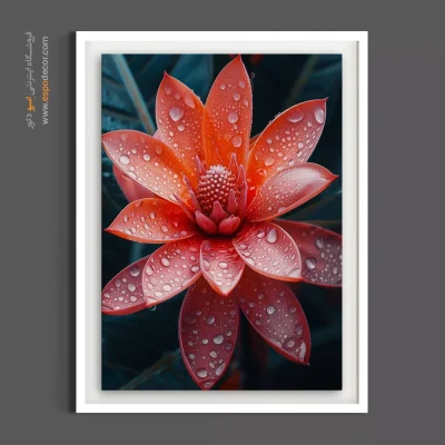 تابلو بوم گل استوایی نارنجی - گل استوایی – تابلو گل - اسپو دکور