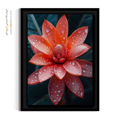 تابلو بوم گل استوایی نارنجی - گل استوایی – تابلو گل - اسپو دکور