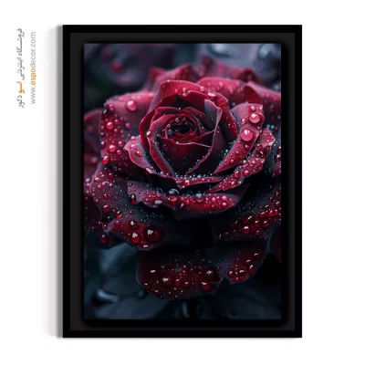 قیمت تابلو بوم گل - رز زرشکی تیره – تابلو گل - اسپو دکور