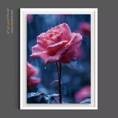 تابلو مدرن با تم آبی و صورتی - رز صورتی زیر باران – تابلو گل - اسپو دکور