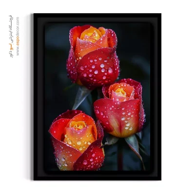 تابلو فضای اداری لوکس - رز دورنگ – تابلو گل - اسپو دکور