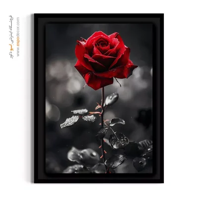 هدیه عاشقانه - تک‌رز قرمز دراماتیک – تابلو گل - اسپو دکور