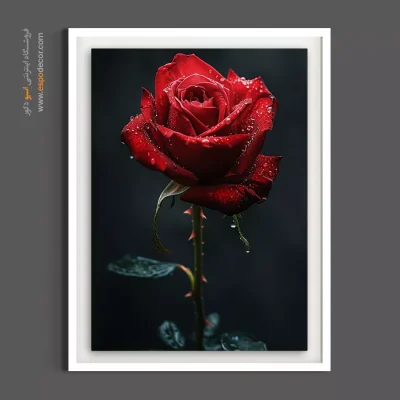 هدیه نفیس هنری - سرخ یاقوتی – تابلو گل - اسپو دکور