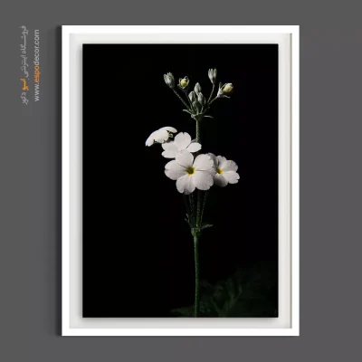 تابلو برای مطب پزشکان - شکوفه سپید – تابلو گل - اسپو دکور