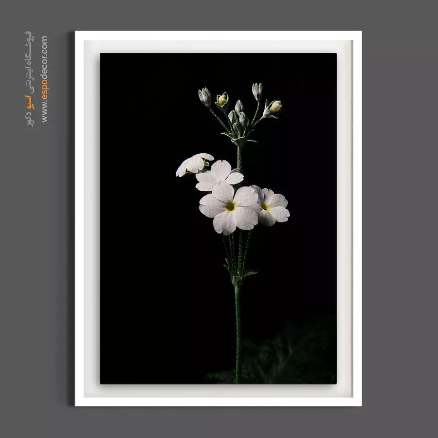 تابلو برای مطب پزشکان - شکوفه سپید – تابلو گل - اسپو دکور