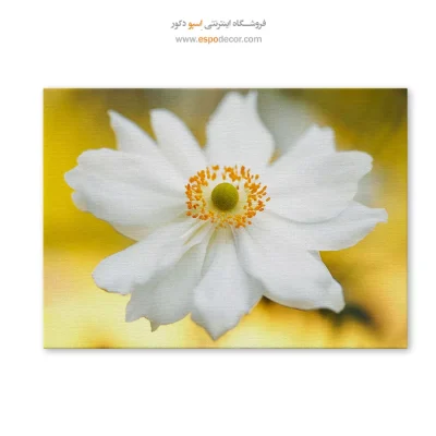 تابلو گل