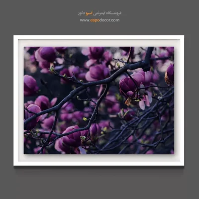 دکوراسیون رمانتیک - شکوفه مگنولیا – تابلو گل - اسپو دکور