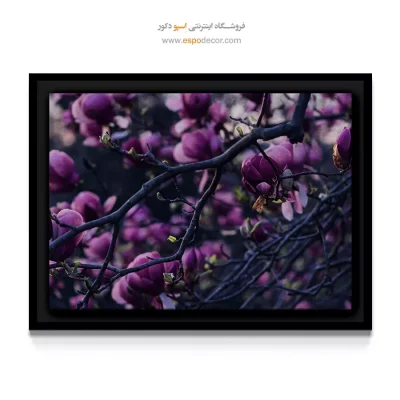 دکوراسیون رمانتیک - شکوفه مگنولیا – تابلو گل - اسپو دکور