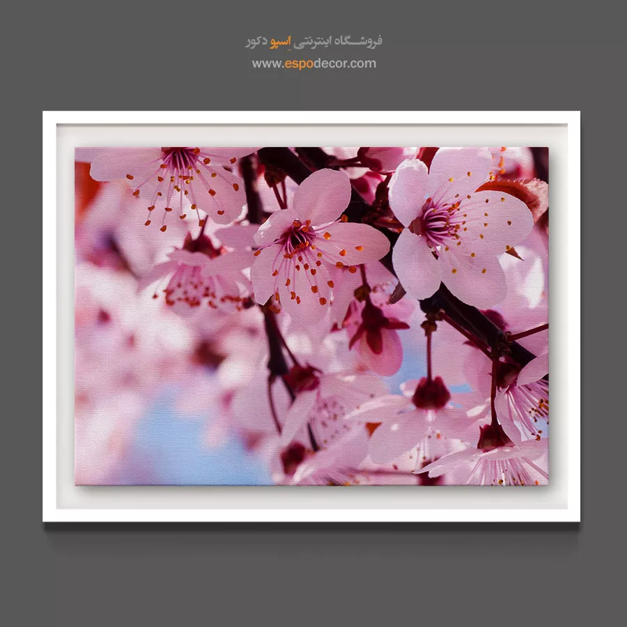 خرید تابلو دکوراتیو شکوفه گیلاس - ساکورا درخشان – تابلو گل - اسپو دکور
