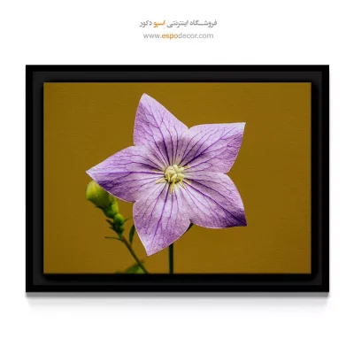 تابلو مدرن - گل شیپوری بنفش – تابلو گل - اسپو دکور