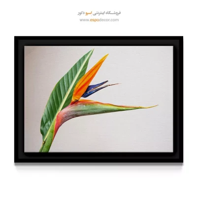 خرید تابلو دکوراتیو پرنده بهشتی - گل پرنده بهشتی – تابلو گل - اسپو دکور