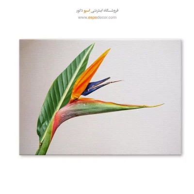 تابلو گل