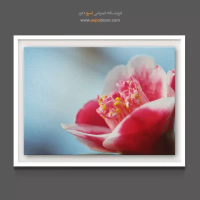 تابلو بوتیک زنانه - کاملیا – تابلو گل - اسپو دکور