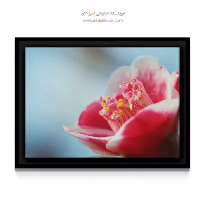 تابلو بوتیک زنانه - کاملیا – تابلو گل - اسپو دکور
