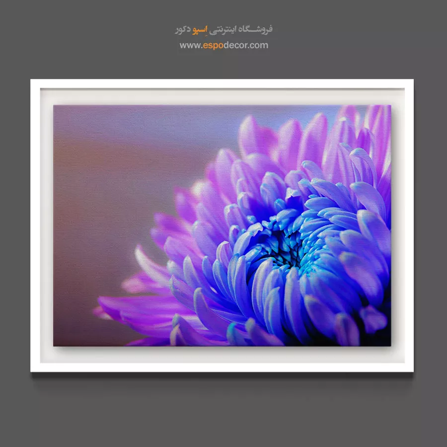تابلو فانتزی - گل داوودی بنفش – تابلو گل - اسپو دکور