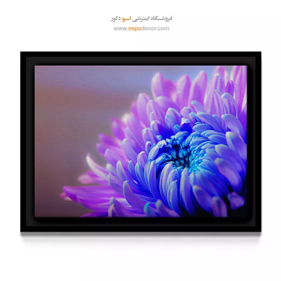تابلو فانتزی - گل داوودی بنفش – تابلو گل - اسپو دکور