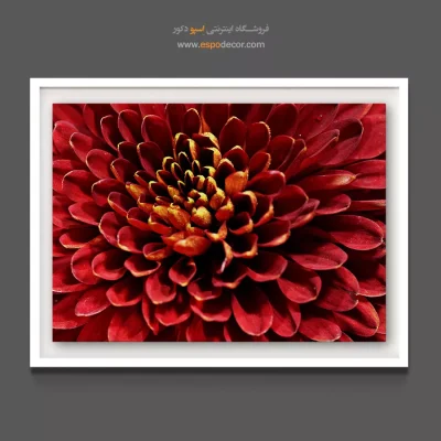 خرید تابلو دکوراتیو پاییزی - گل داوودی پاییزی – تابلو گل - اسپو دکور