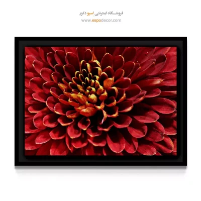 خرید تابلو دکوراتیو پاییزی - گل داوودی پاییزی – تابلو گل - اسپو دکور
