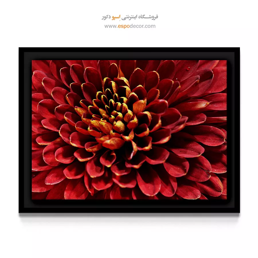 خرید تابلو دکوراتیو پاییزی - گل داوودی پاییزی – تابلو گل - اسپو دکور