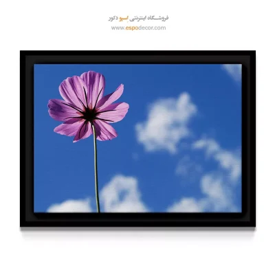 تابلو مینیمال صورتی و آبی - کازمیا – تابلو گل - اسپو دکور