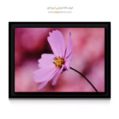 تابلو دکوراتیو صورتی - گل کیهان صورتی – تابلو گل - اسپو دکور
