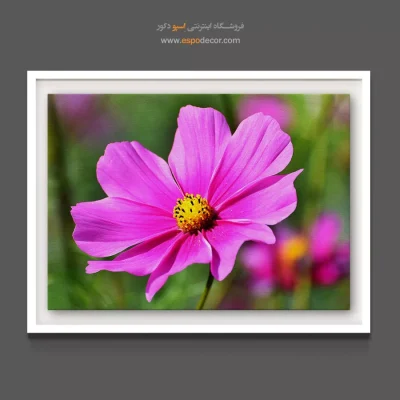 تابلو سبک طبیعت - فوشیا در نور – تابلو گل - اسپو دکور