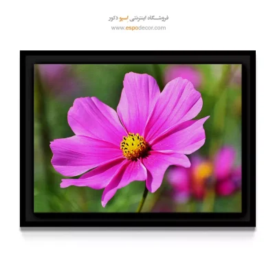 تابلو سبک طبیعت - فوشیا در نور – تابلو گل - اسپو دکور