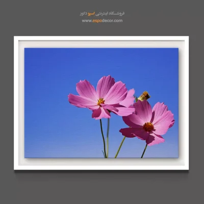 تابلو برای دفاتر اداری - دو گل کیهان – تابلو گل - اسپو دکور