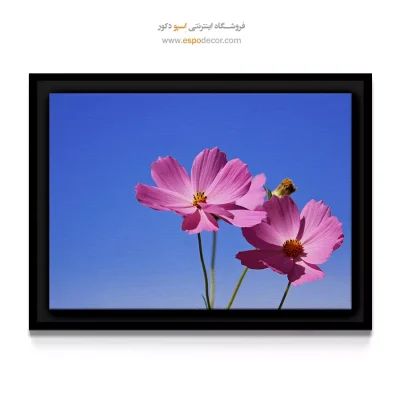 تابلو برای دفاتر اداری - دو گل کیهان – تابلو گل - اسپو دکور