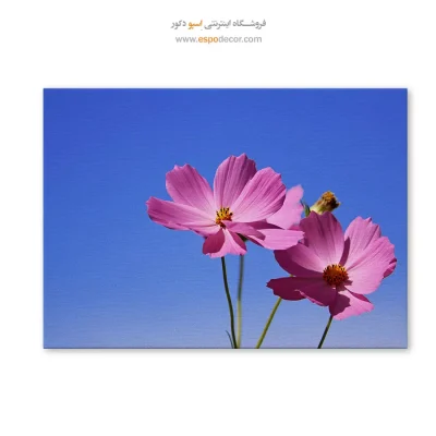 تابلو گل