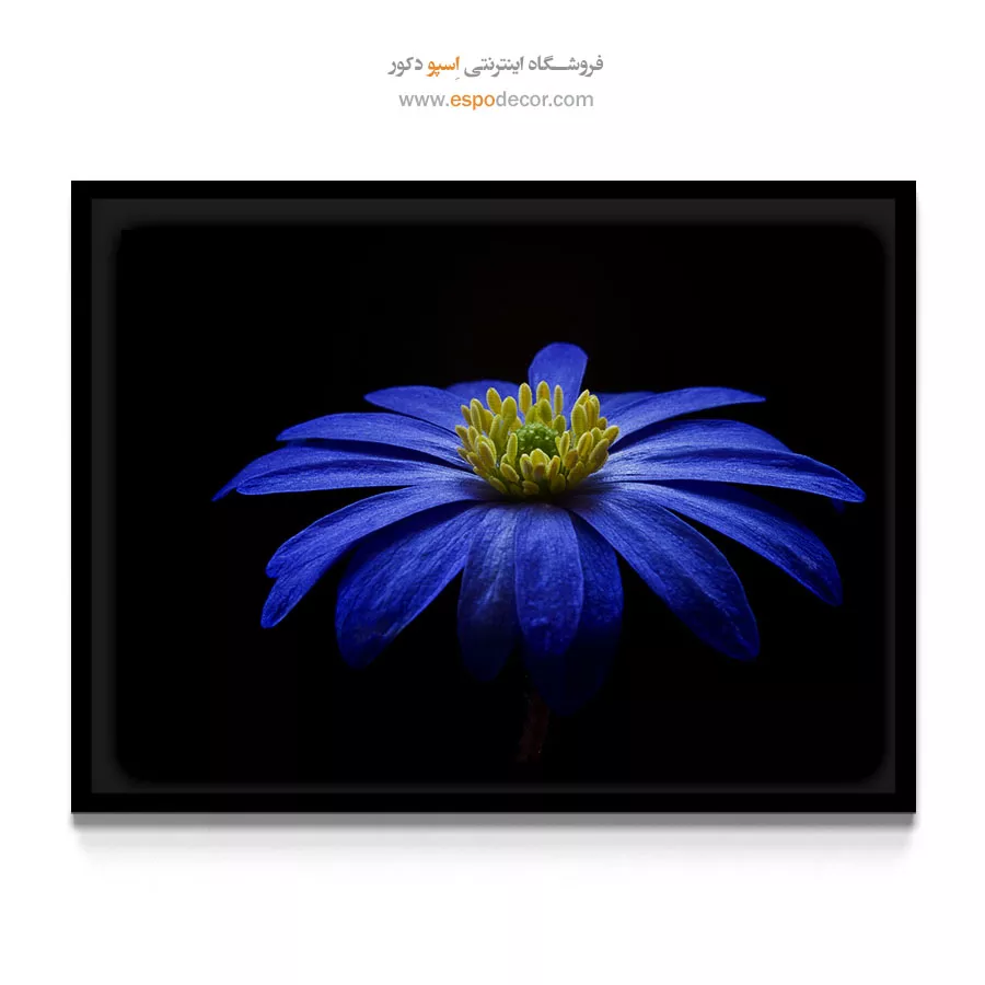 خرید تابلو لوکس - گل شقایق آبی – تابلو گل - اسپو دکور