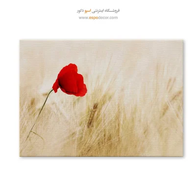 تابلو گل
