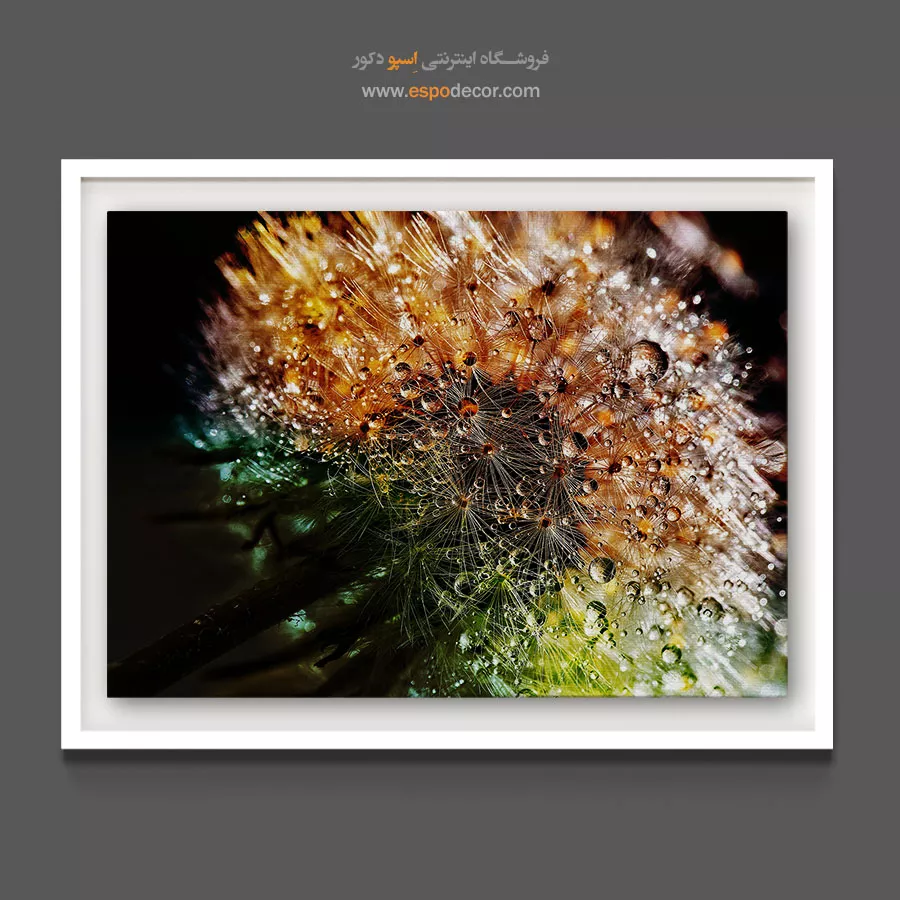تابلوعکاسی نئوفوتوریسم - شبنم روی قاصدک – تابلو گل - اسپو دکور