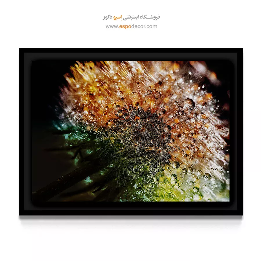 تابلوعکاسی نئوفوتوریسم - شبنم روی قاصدک – تابلو گل - اسپو دکور