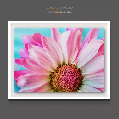 هدیه روز زن - گل کوکب صورتی – تابلو گل - اسپو دکور