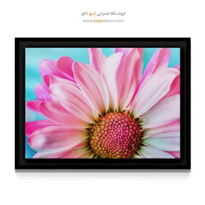 هدیه روز زن - گل کوکب صورتی – تابلو گل - اسپو دکور